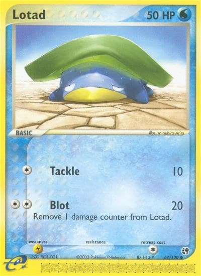Lotad - 67/100
