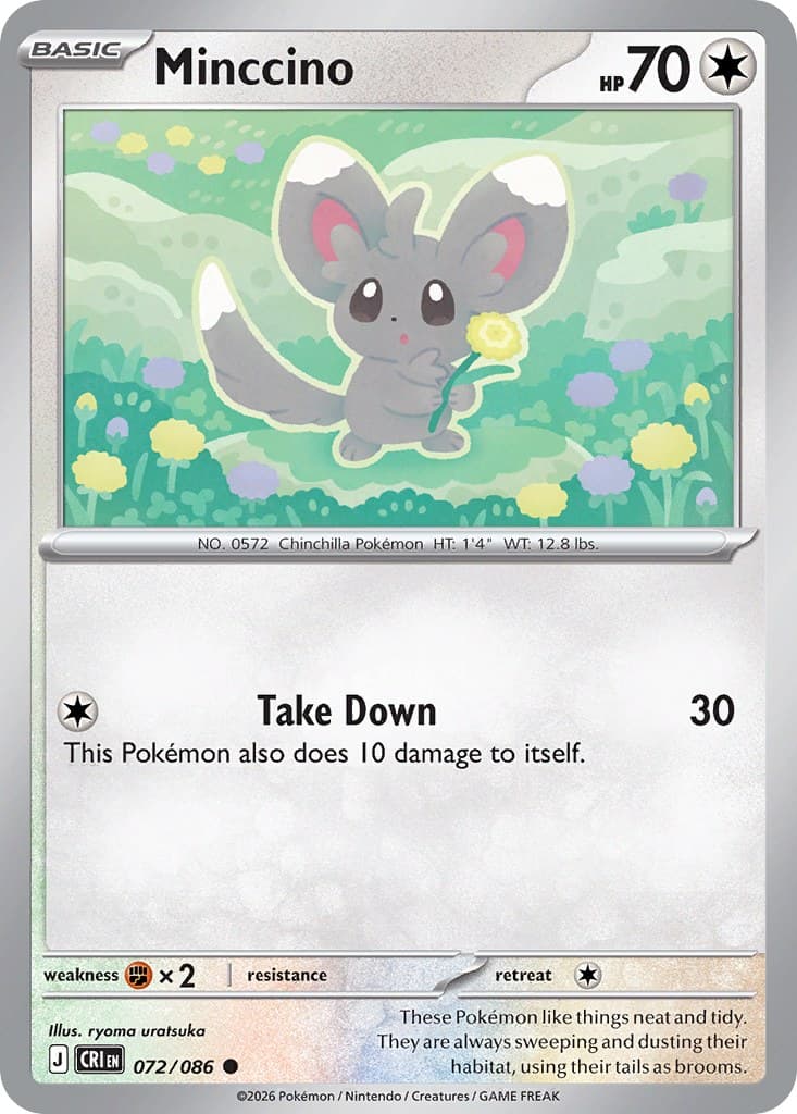Minccino