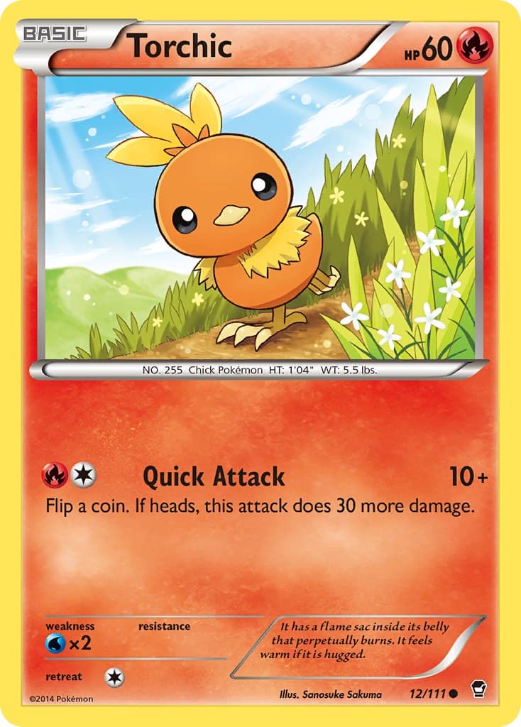 Torchic (City Championships Staff 2014)