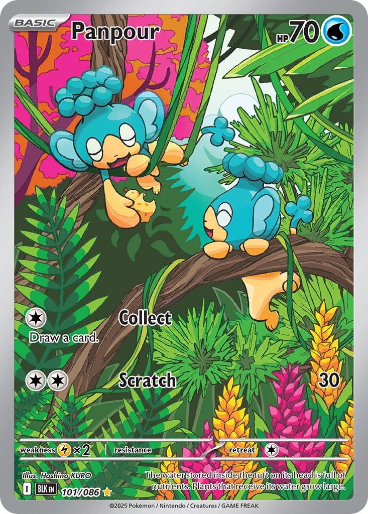 Panpour