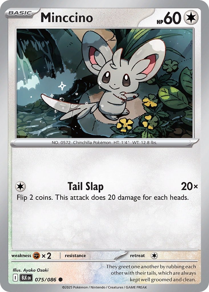 Minccino