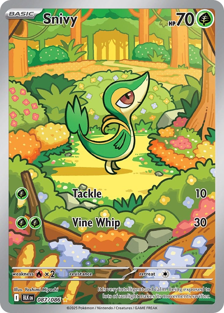 Snivy