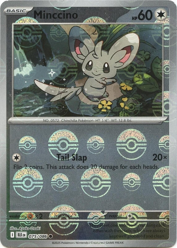 Minccino (Poke Ball Pattern)
