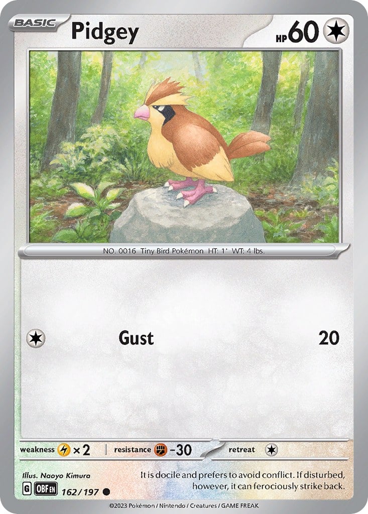 Pidgey